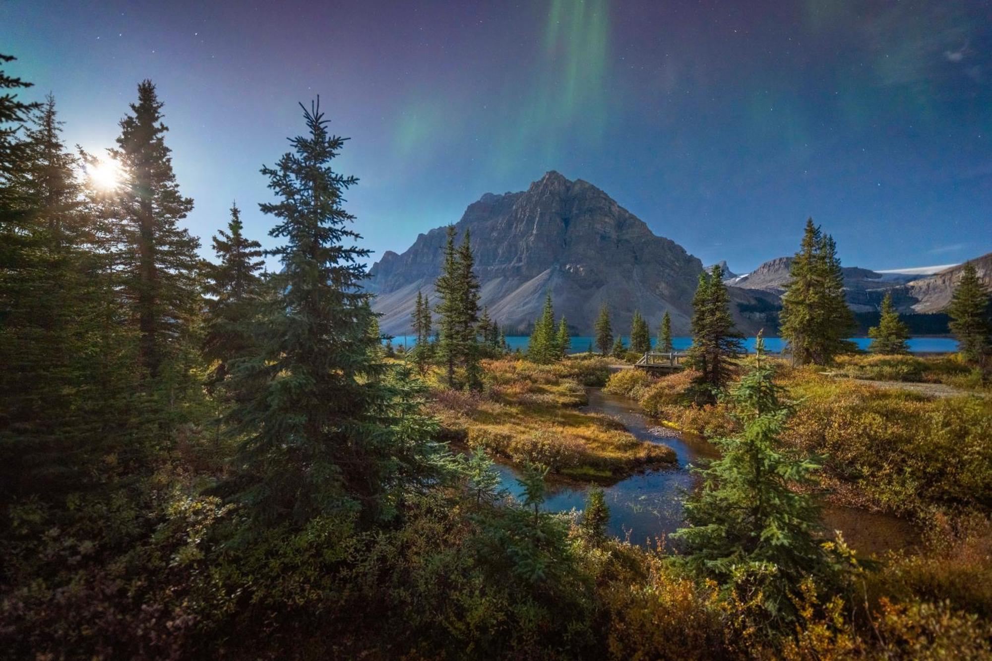 The At Bow Lake Louise